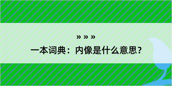 一本词典：内像是什么意思？