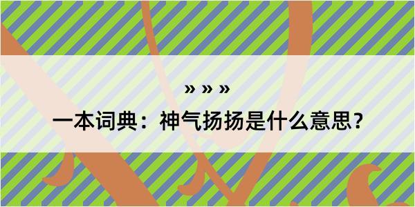 一本词典：神气扬扬是什么意思？