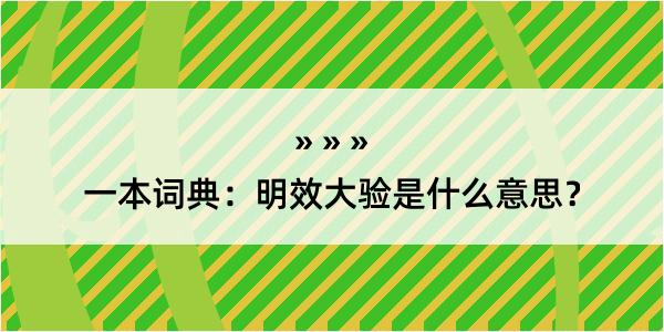 一本词典：明效大验是什么意思？