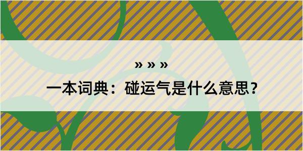 一本词典：碰运气是什么意思？