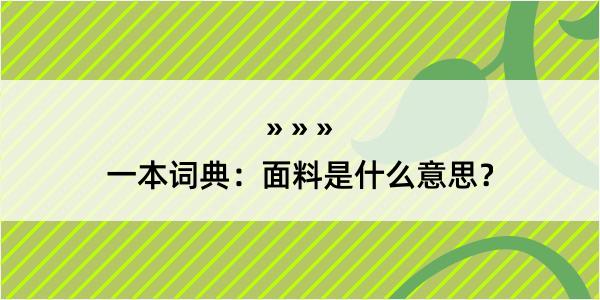 一本词典：面料是什么意思？