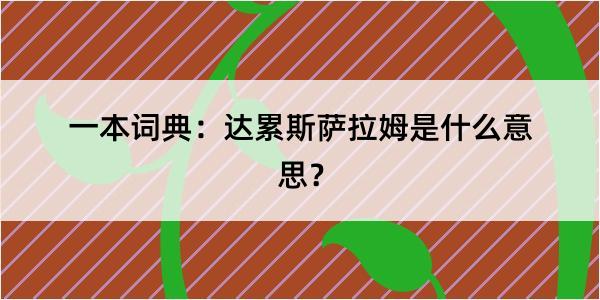 一本词典：达累斯萨拉姆是什么意思？