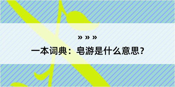 一本词典：皂游是什么意思？