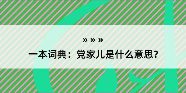 一本词典：党家儿是什么意思？