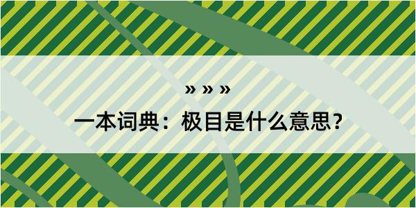 一本词典：极目是什么意思？