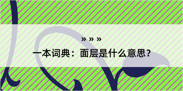 一本词典：面层是什么意思？