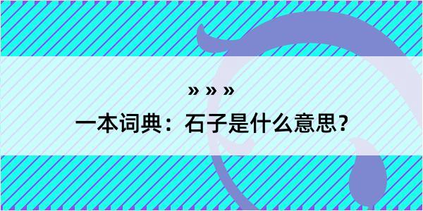 一本词典：石子是什么意思？