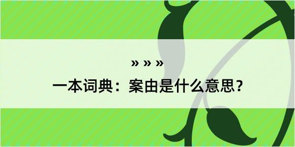 一本词典：案由是什么意思？