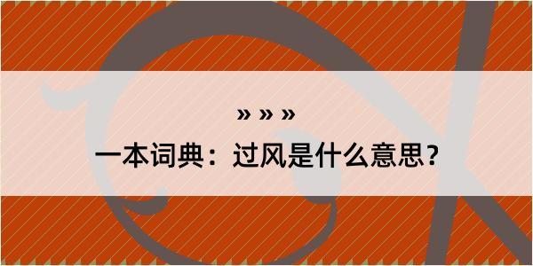 一本词典：过风是什么意思？