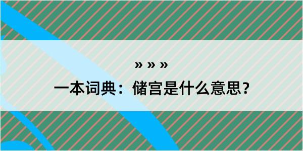 一本词典：储宫是什么意思？