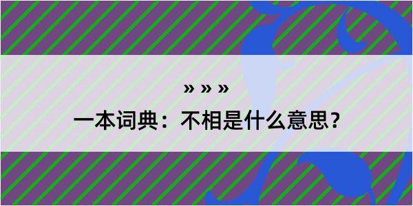 一本词典：不相是什么意思？