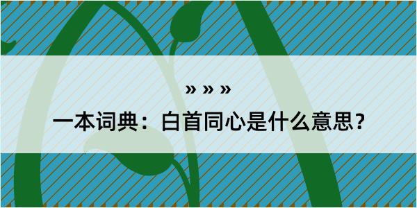 一本词典：白首同心是什么意思？