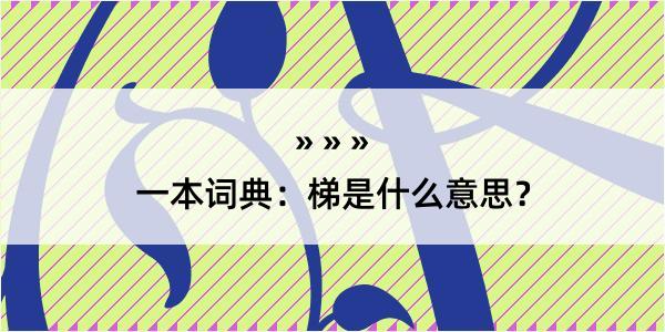 一本词典：梯是什么意思？