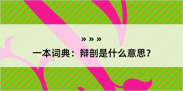 一本词典：辩剖是什么意思？