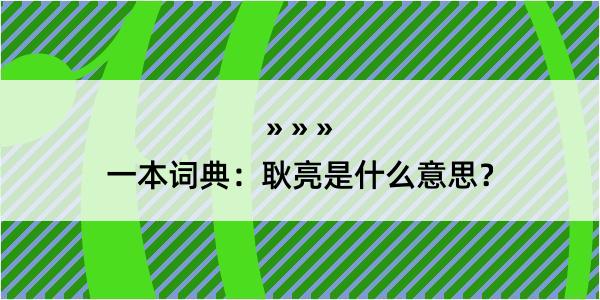 一本词典：耿亮是什么意思？