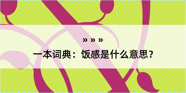 一本词典：饭感是什么意思？