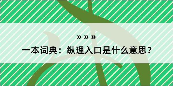 一本词典：纵理入口是什么意思？