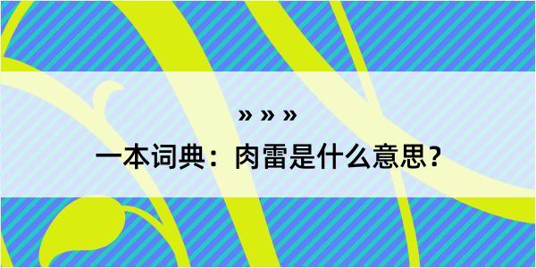 一本词典：肉雷是什么意思？