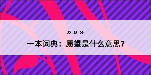 一本词典：愿望是什么意思？