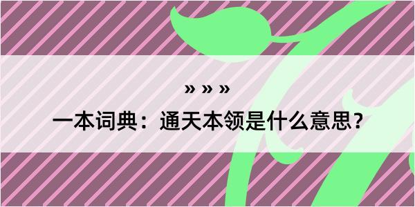 一本词典：通天本领是什么意思？