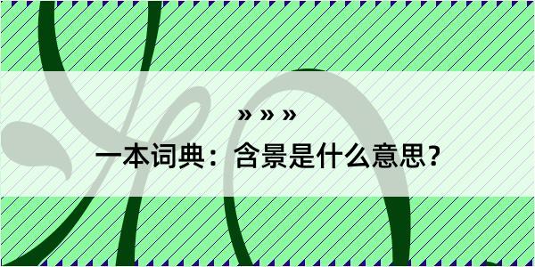 一本词典：含景是什么意思？