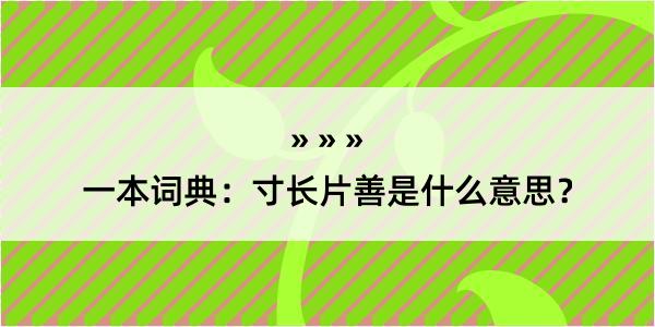 一本词典：寸长片善是什么意思？