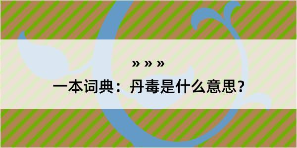 一本词典：丹毒是什么意思？