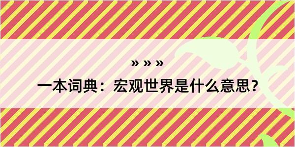 一本词典：宏观世界是什么意思？