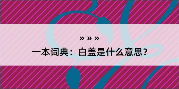 一本词典：白盖是什么意思？