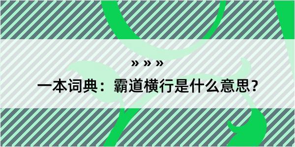 一本词典：霸道横行是什么意思？