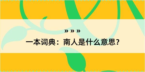 一本词典：南人是什么意思？