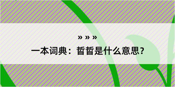 一本词典：晢晢是什么意思？