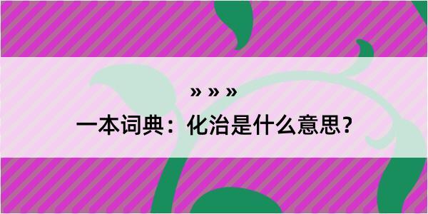 一本词典：化治是什么意思？