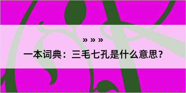 一本词典：三毛七孔是什么意思？