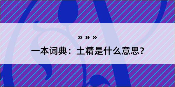 一本词典：土精是什么意思？