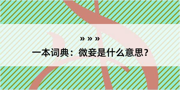 一本词典：微妾是什么意思？