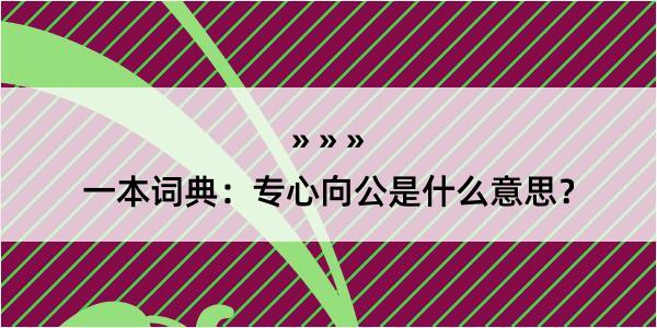 一本词典：专心向公是什么意思？