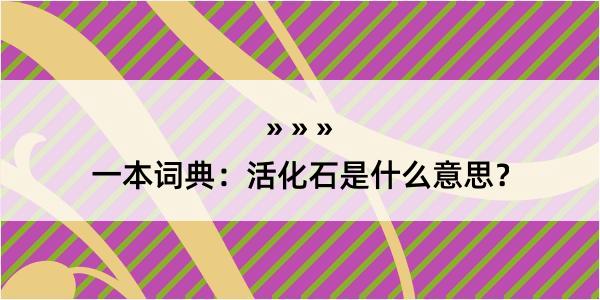 一本词典：活化石是什么意思？