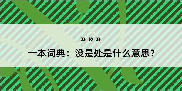 一本词典：没是处是什么意思？