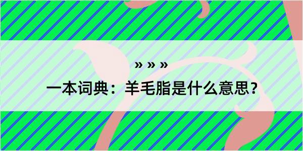 一本词典：羊毛脂是什么意思？