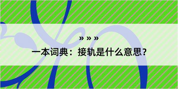 一本词典：接轨是什么意思？