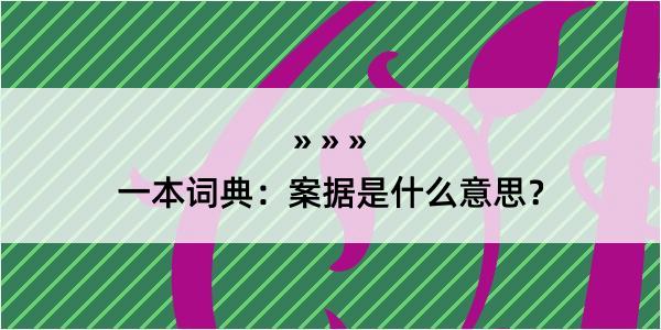 一本词典：案据是什么意思？