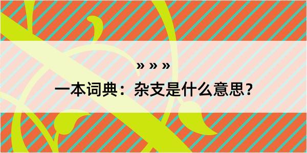 一本词典：杂支是什么意思？