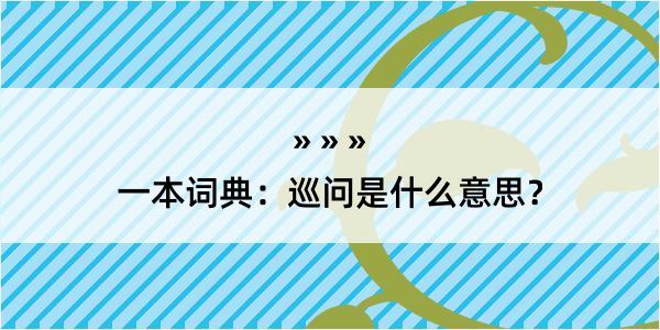 一本词典：巡问是什么意思？