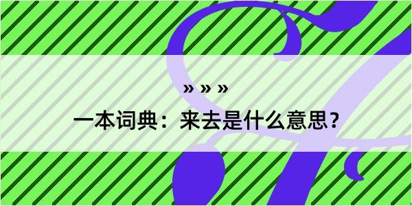 一本词典：来去是什么意思？