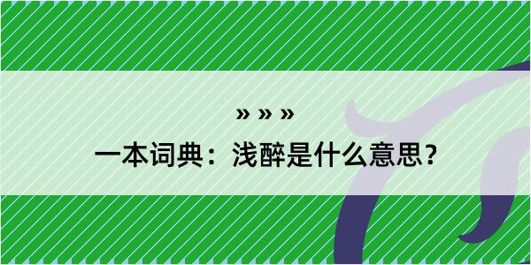 一本词典：浅醉是什么意思？