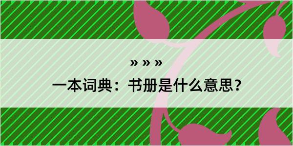 一本词典：书册是什么意思？