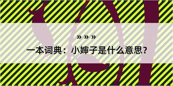 一本词典：小婶子是什么意思？