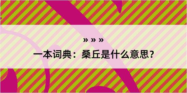 一本词典：桑丘是什么意思？