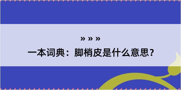 一本词典：脚梢皮是什么意思？